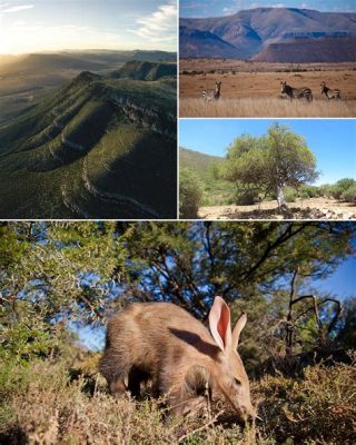 The Great Karoo Cattle Stampede; a Catalyst for Early Ironworking and Shifting Agrarian Practices in 3rd Century South Africa